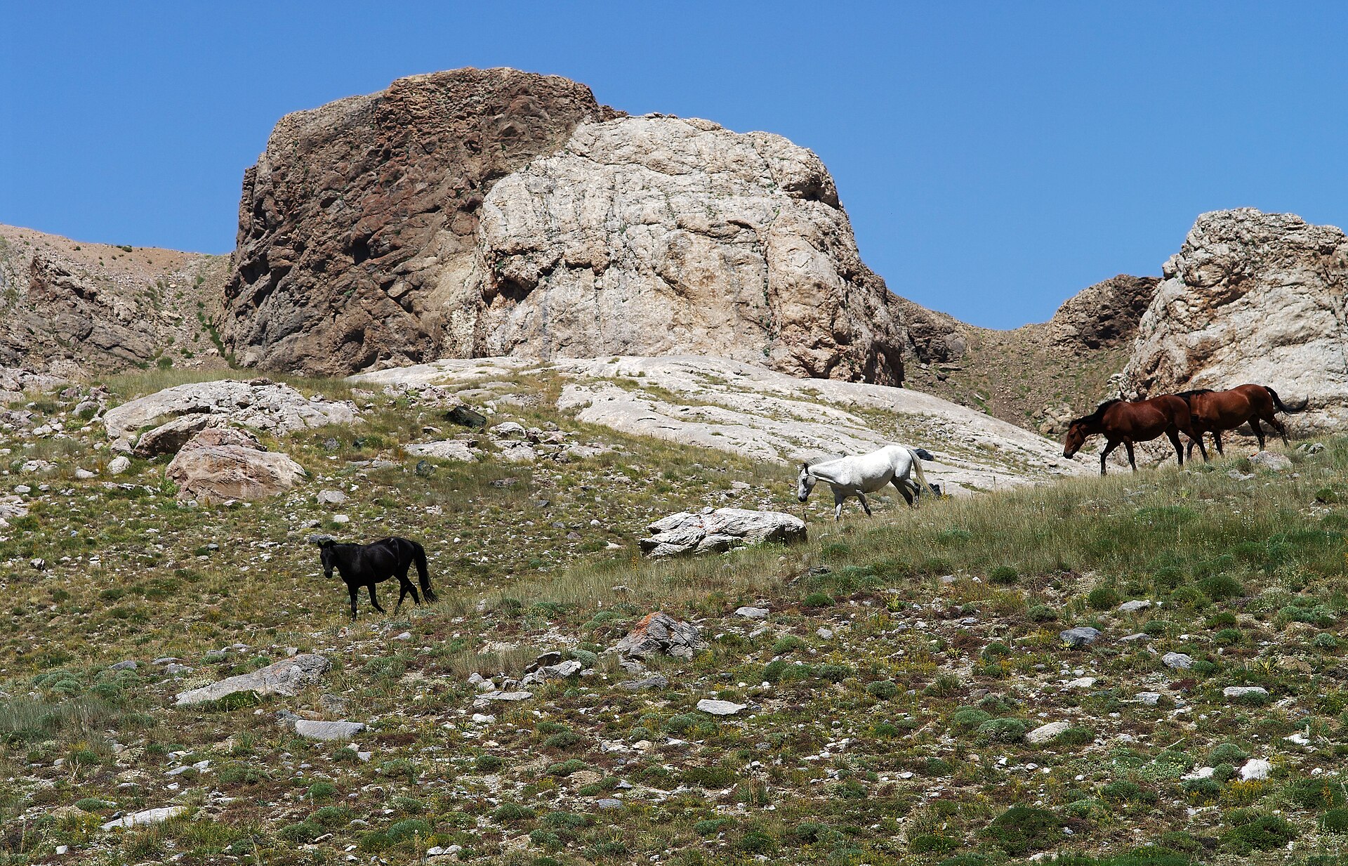 Bolkar Dağları